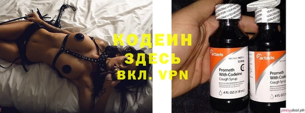 шишки Гусев