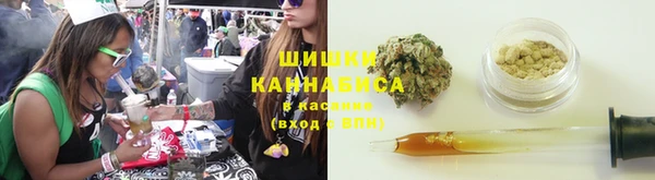 шишки Гусев