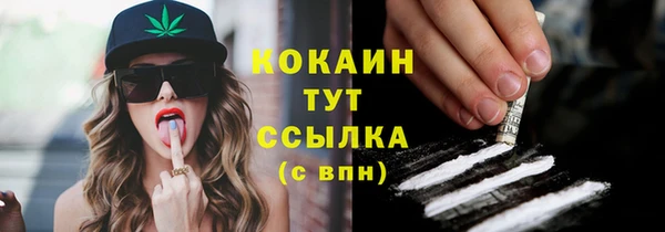 прущая мука Гусь-Хрустальный