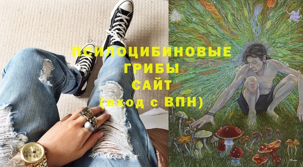 прущая мука Гусь-Хрустальный