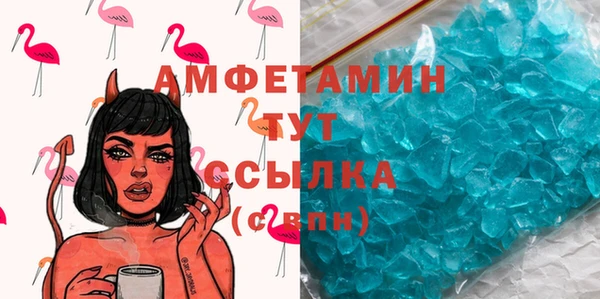 шишки Гусев