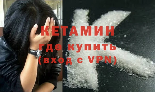 шишки Гусев