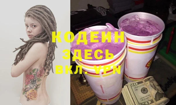 шишки Гусев